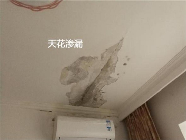 1720173493345249.jpg 1718789226271.jpg